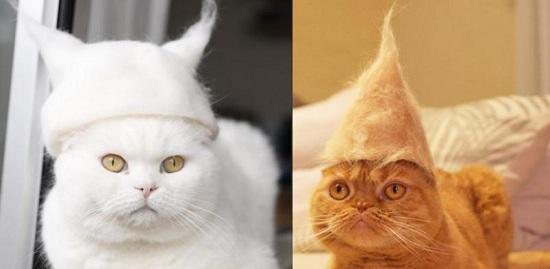 日本猫毛小帽子